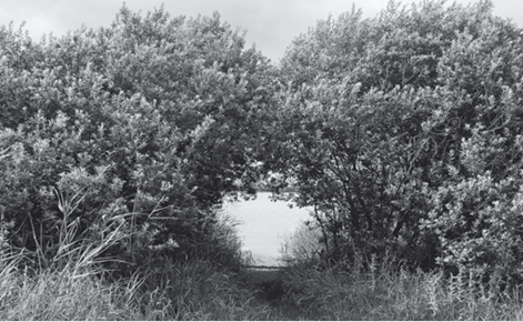 Bild zur Veranstaltung: Ökumenische Ehevorbereitung