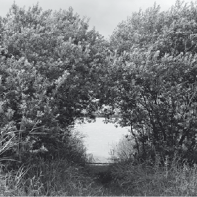 Bild zum Eintrag: Ökumenische Ehevorbereitung