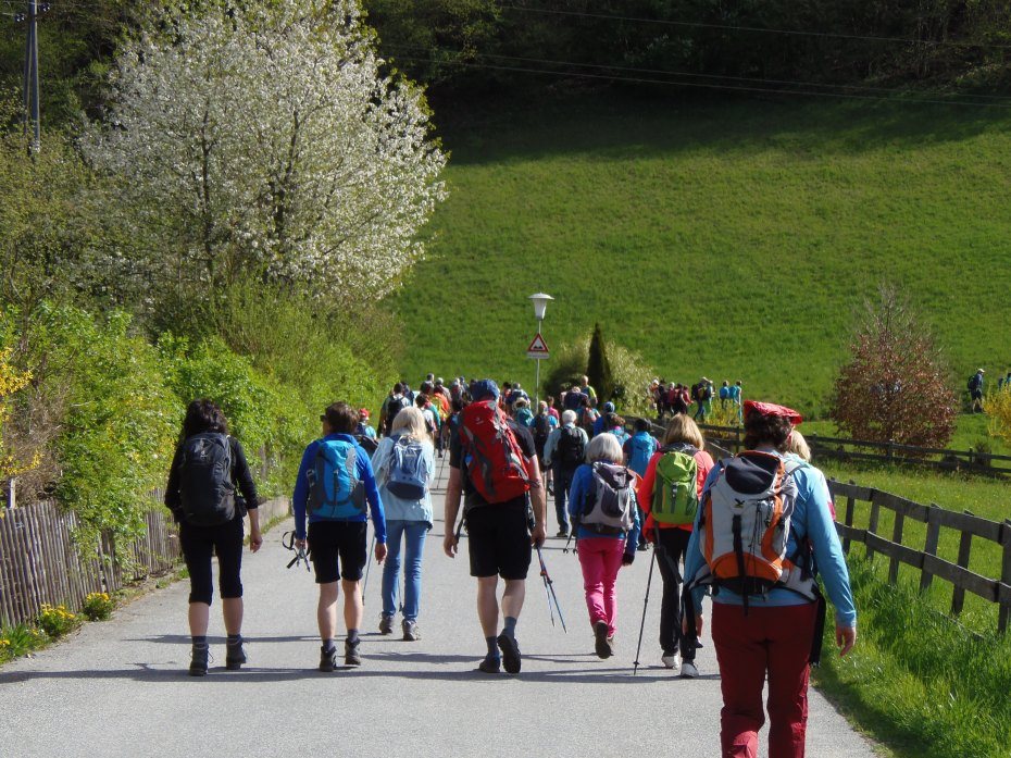 Bild zum Eintrag: Liebe sind Worte und Taten
