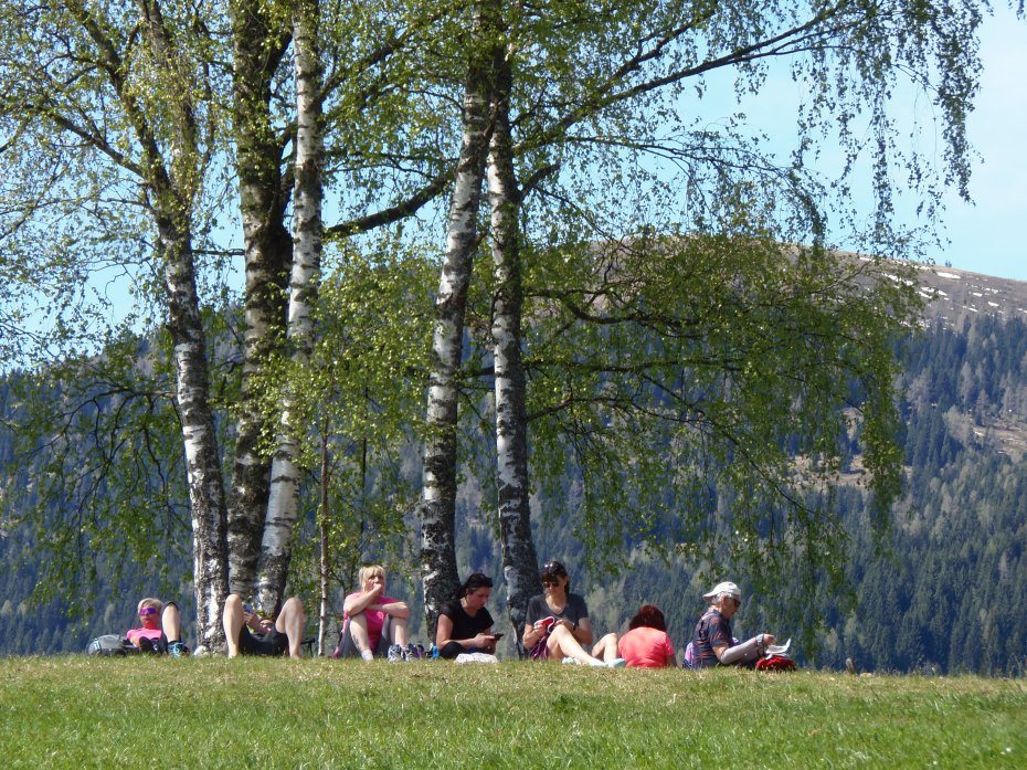 Bild zum Eintrag: Liebe sind Worte und Taten